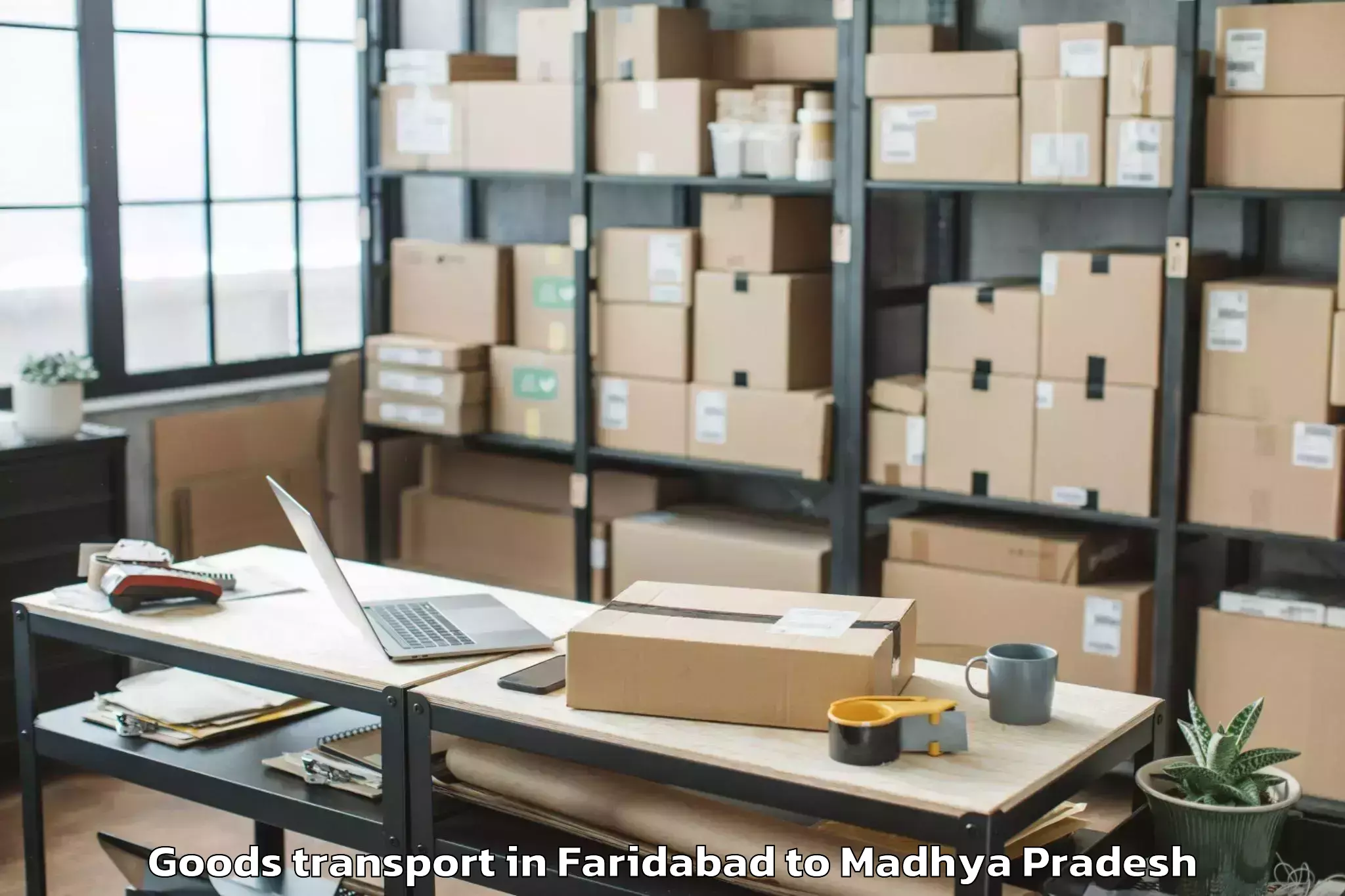 Top Faridabad to Shujalpur Goods Transport Available